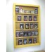 PSA BGS SCG BCCG Graded Card Display Case for Baseball Cards 30   232861001363